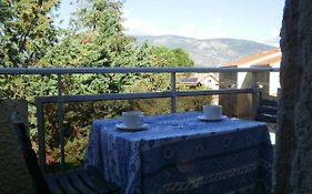 Catalane 412, Ideale Rando